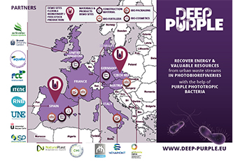 Deep-Purple Folder