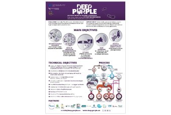 Deep-Purple Poster