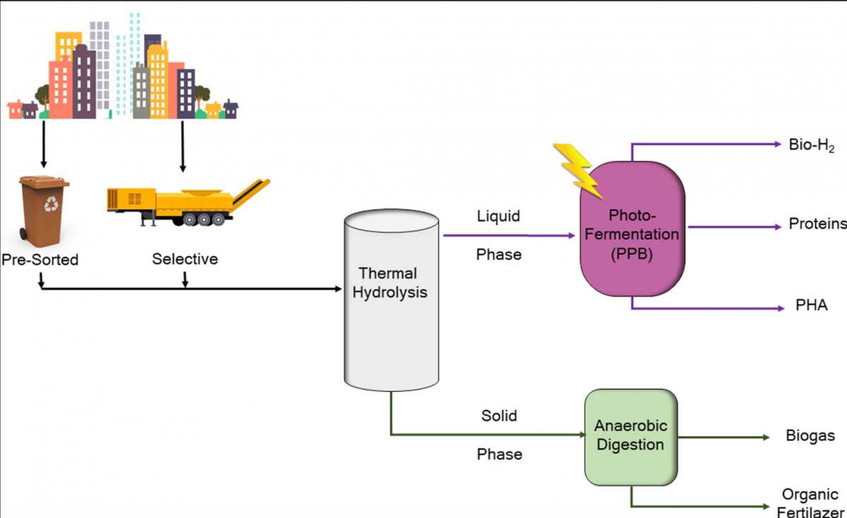 DEEP PURPLE publication in Elsevier
