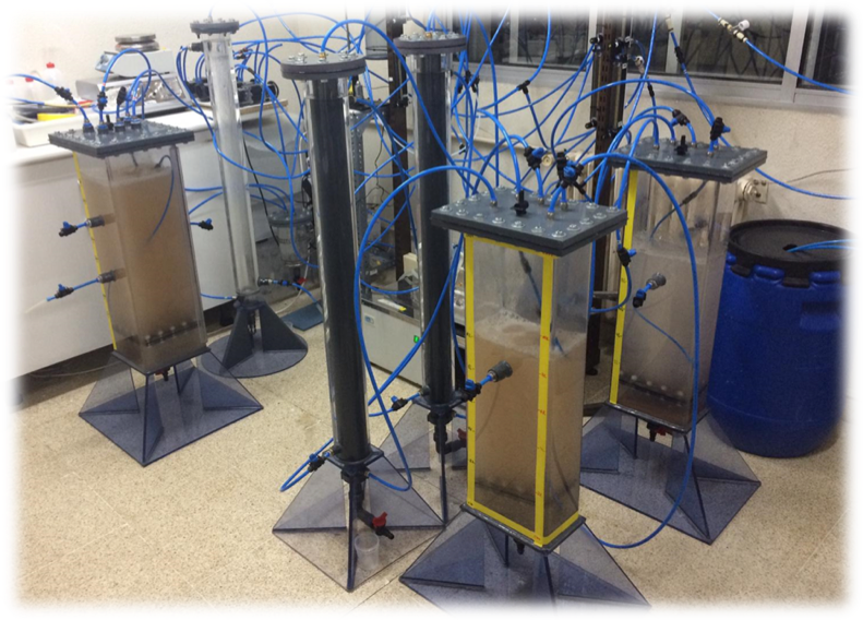 Bioconversion of biogas into ectoine