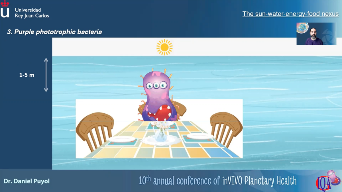 VIDEO about the power of purple phototrophic bacteria