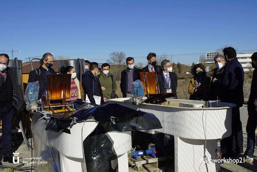 Pre-Pilot Photobioreactor