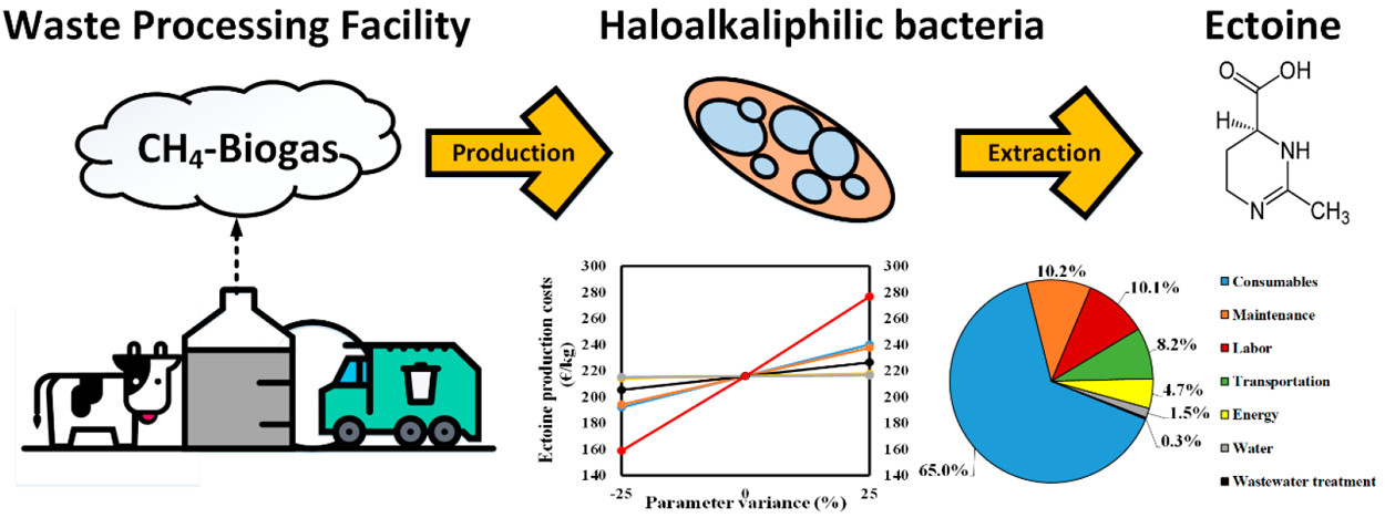 ectoine production from biogas