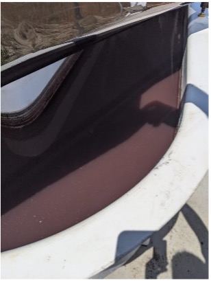 PPB biomass in photobioreactor