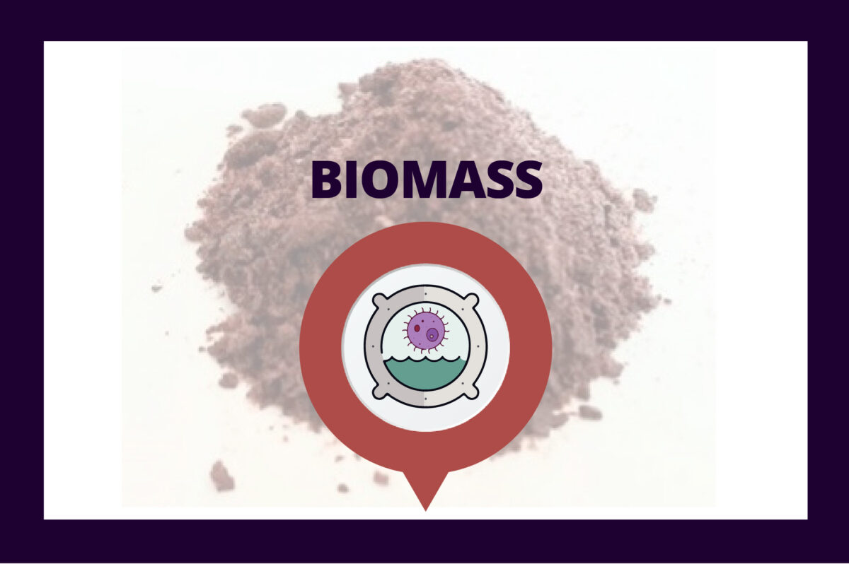 BIOMASS insights