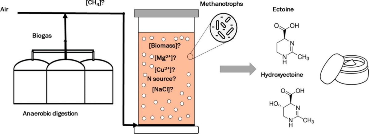 Publication about Influence of operational conditions on the performance of biogas bioconversion into ectoines