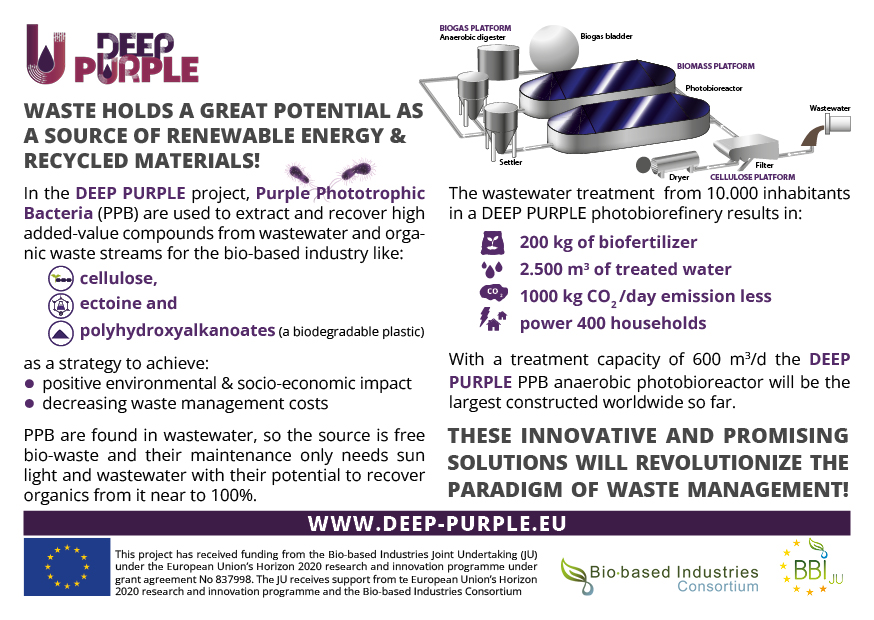 Biomass-Flyer