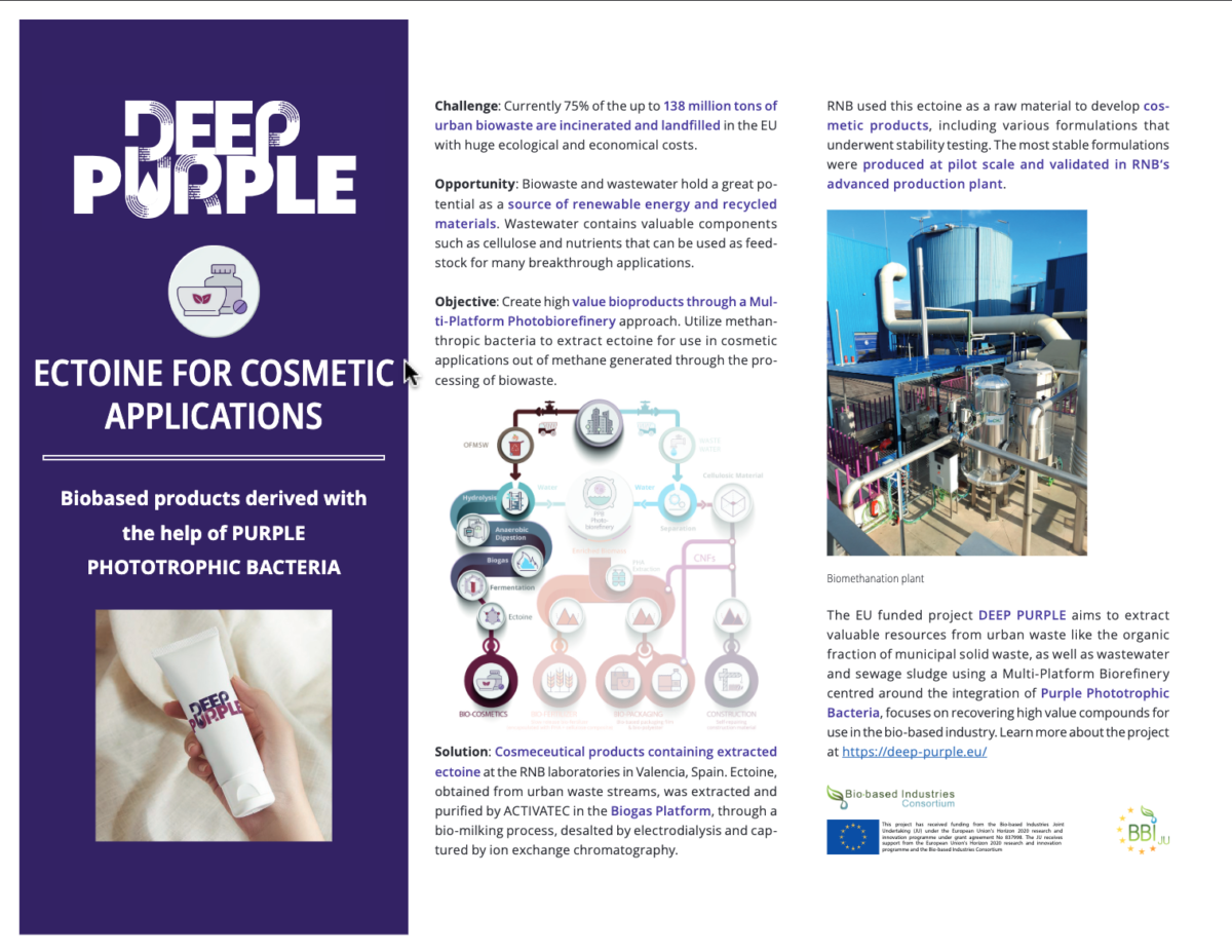 Flyer_Ectoine